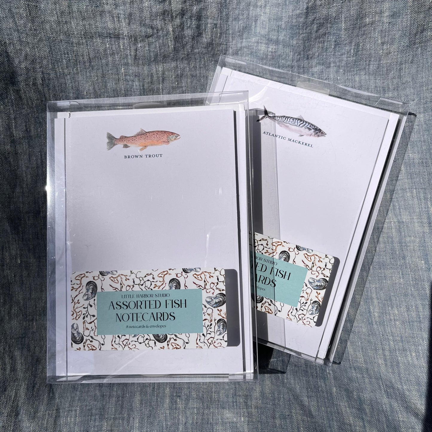 Assorted hand painted Atlantic fish notecards