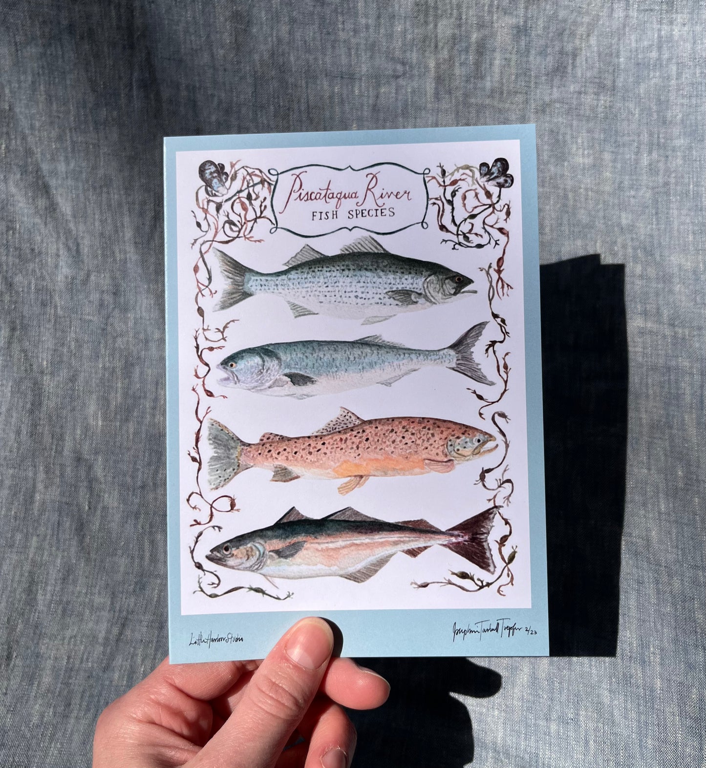 Hand painted greeting card with Piscataqua River fish including Striped Bass, Bluefish, Brown Trout & Polluck with hand painted seaweed and Atlantic mussels shells.