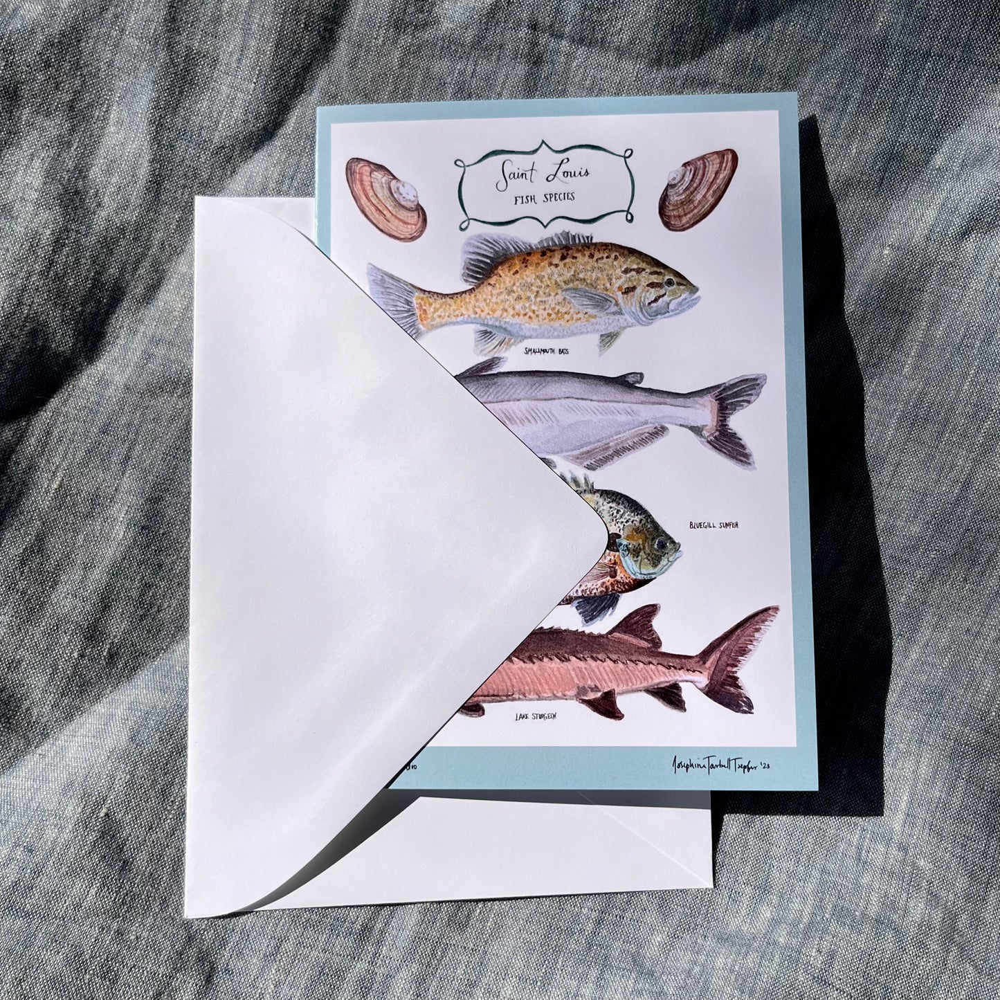 Greeting card hand painted watercolor with St. Louis, MO native fish including the smallmouth bass, blue catfish, bluegill sunfish & ancient lake sturgeon