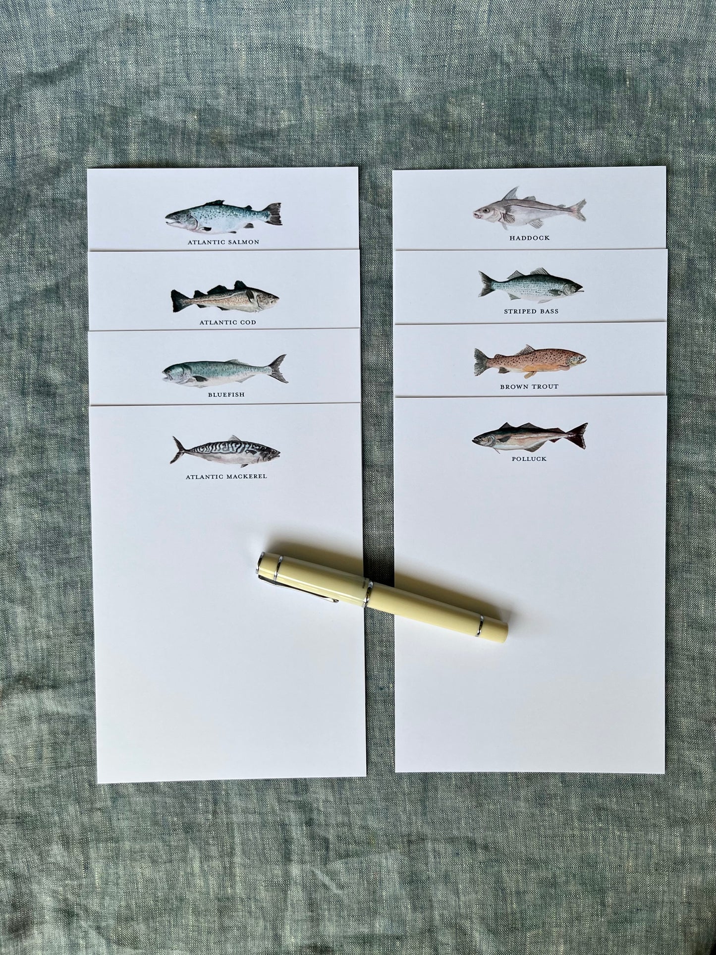 Vibrant Atlantic fish note cards in custom painted water color.