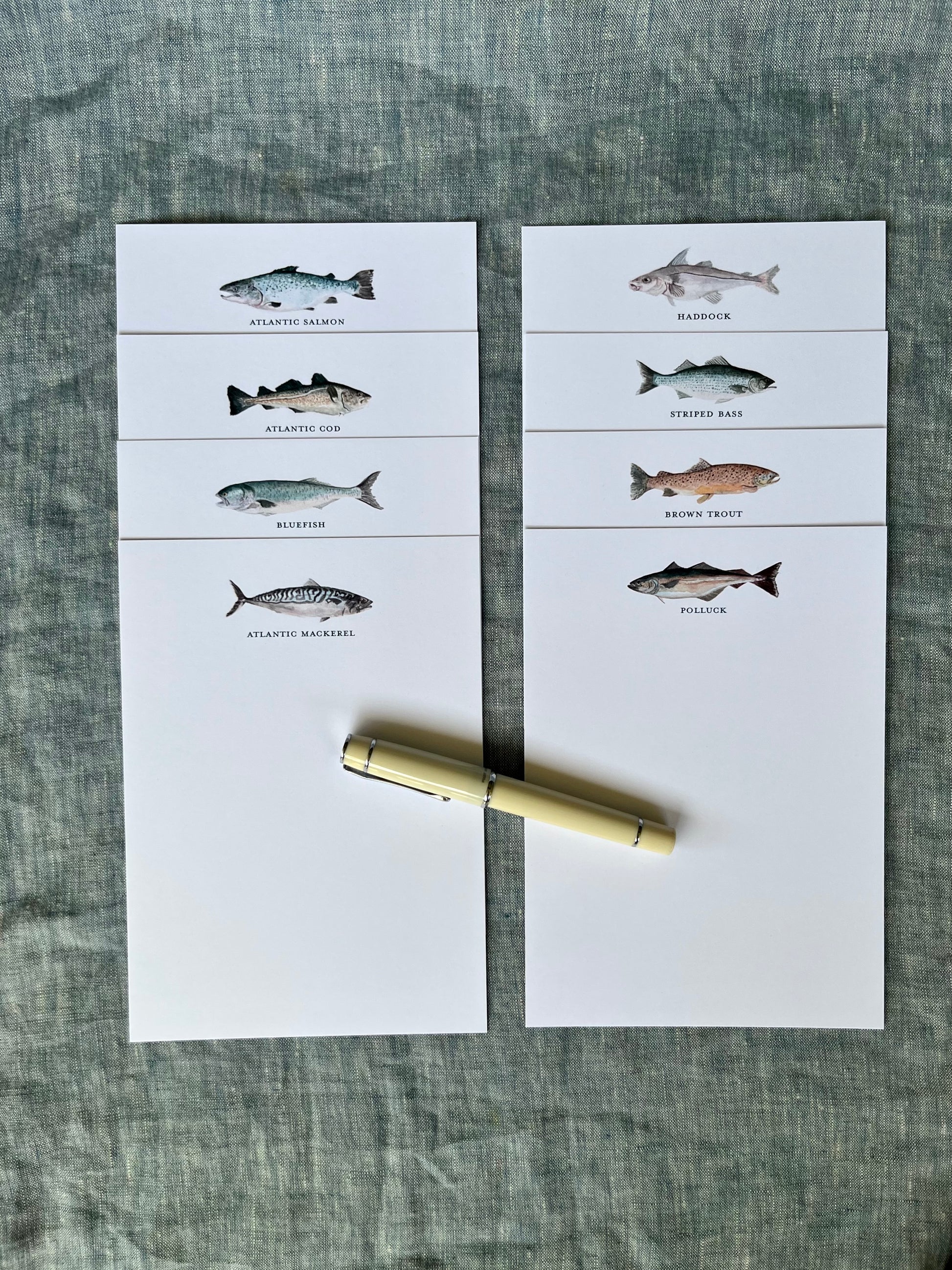 Vibrant Atlantic fish note cards in custom painted water color.