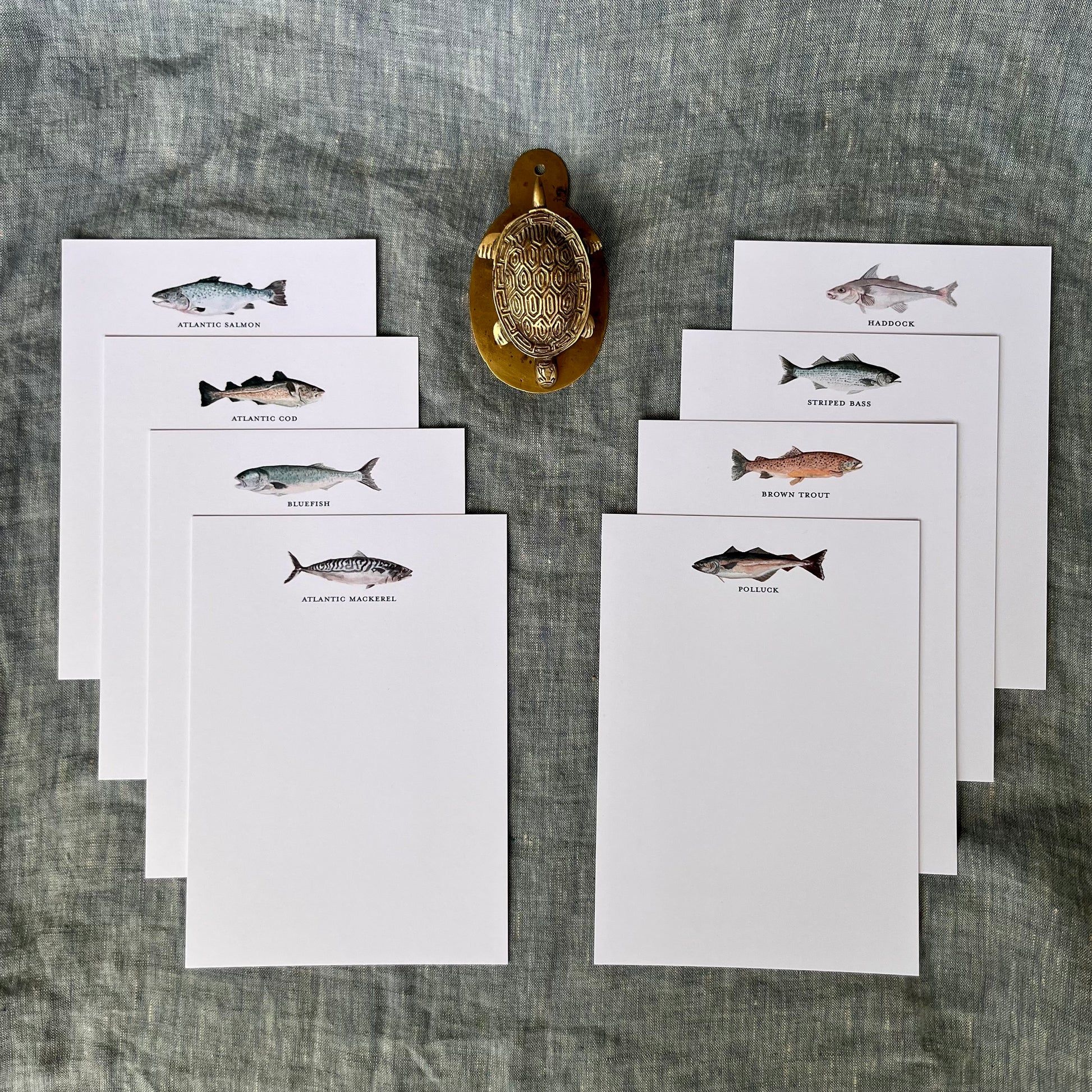 Vibrant Atlantic fish note cards in custom painted water color.