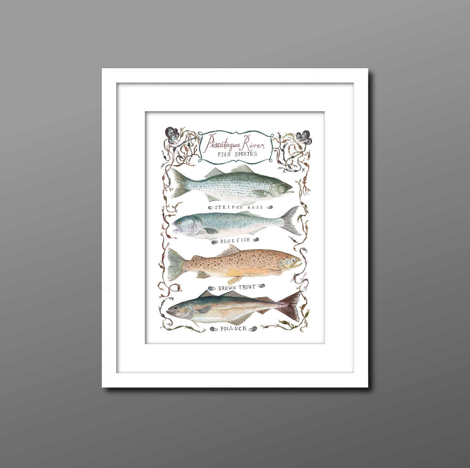 Fine art print with Piscataqua River fish including Striped Bass, Bluefish, Brown Trout &amp; Polluck with hand painted seaweed and Atlantic mussels shells.