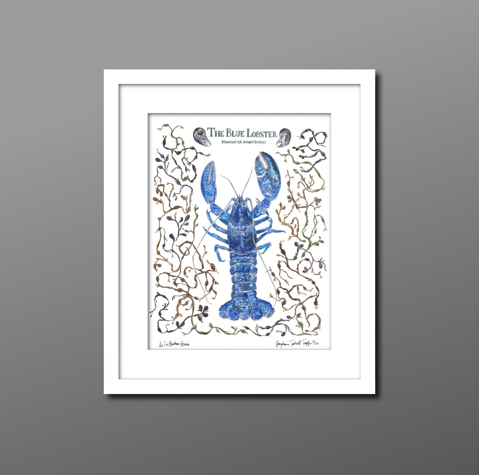 Hand painted art print with blue lobster, seaweed, and clams.