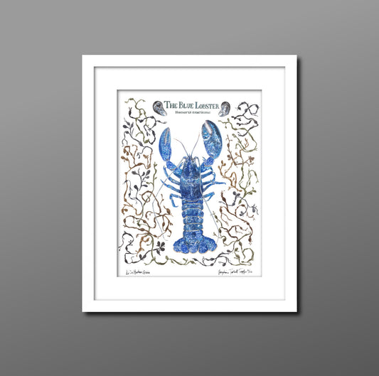 Hand painted art print with blue lobster, seaweed, and clams.