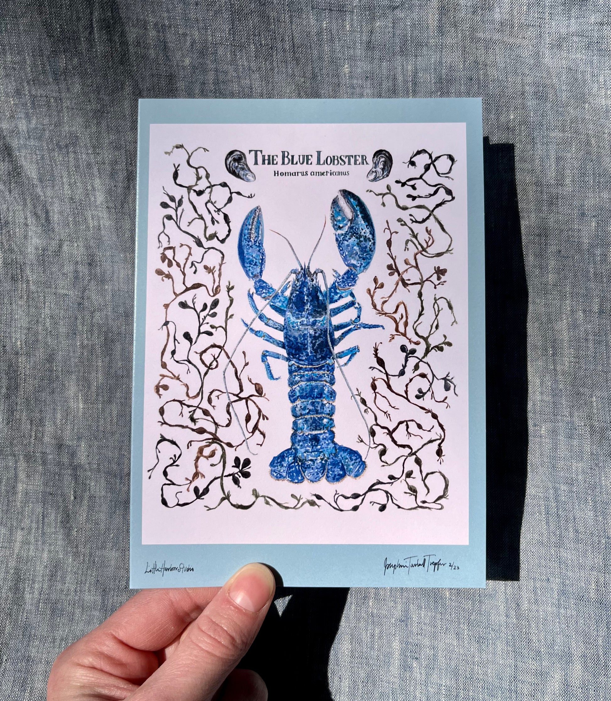 Fold over hand painted greeting card with blue lobster, seaweed, and clams.