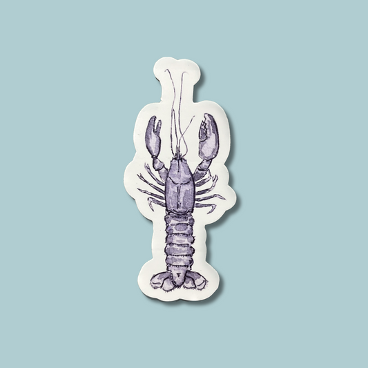 Blue and white vinyl lobster sticker. Hand painted calligraphy style sticker.