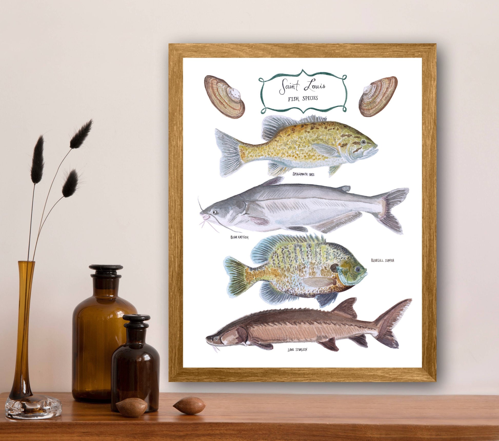 Fine art print of hand painted watercolor with St. Louis, MO native fish including the smallmouth bass, blue catfish, bluegill sunfish &amp; ancient lake sturgeon